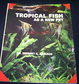 TROPICAL FISH AS A NEW PET
