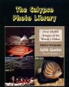 The Calypso Photographic Library