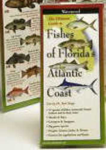 Fishes of THE FLORIDA ATLANTIC COAST (USA)