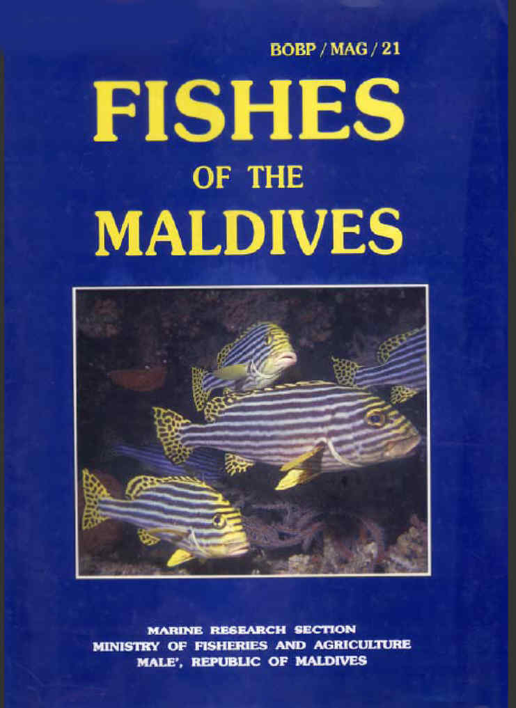 FISHES OF THE MALDIVES