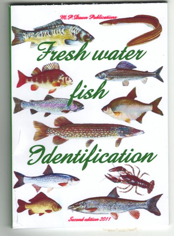 British Freshwater fish identification British freshwater fish species