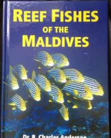 REEF FISHES OF THE MALDIVES