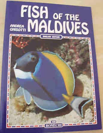 FISH OF THE MALDIVES