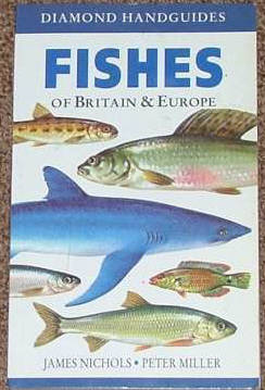 Fishes of Britain and Europe.Seafish pictures