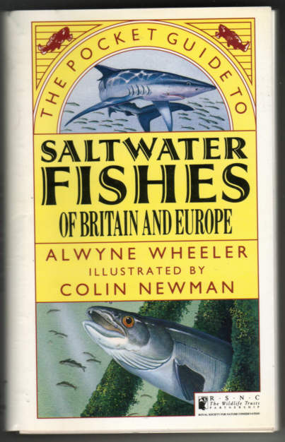 Saltwater fishes of britain and europe