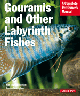 Gouramis and Other  Labyrinth Fishes (Complete Pet Owner's Manual) by Oliver Lucanus, and Gary Elson $7.95 