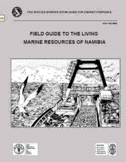 Field Guide to the Living Marine Resources of Namibia. 