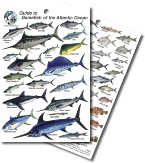 Guide to Atlantic Game Fish 