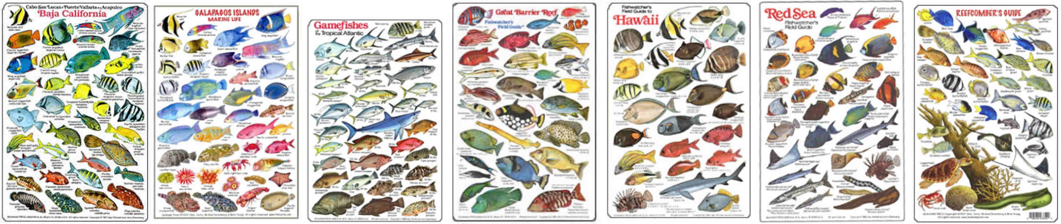 Fish Identification Guides,diving slates  and fish charts