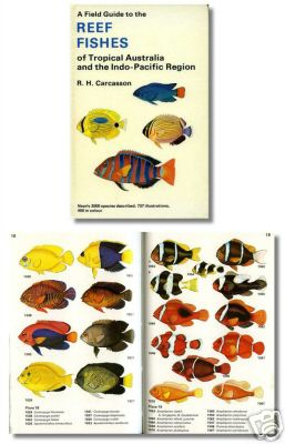 A Field Guide to the Reef Fishes of TropIcal Australia and the Indo-Pacific Regio