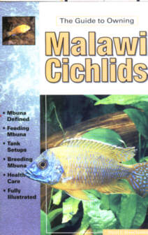 Guide to Owning Malawi Cichlids 