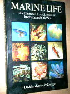 Marine Life  An Illustrated Encyclopaedia of Invertebrates in the Sea  