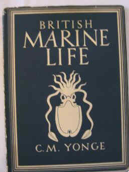 BRITAIN IN PICTURES SERIES. BRITISH  MARINE LIFE BY C M YONGE. 
