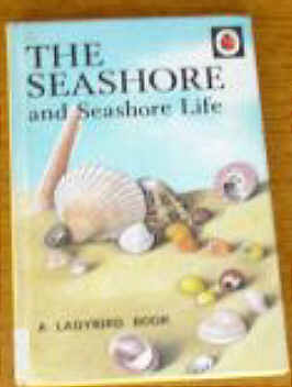 Ladybird book of the Seashore and Seashore Life.by Nancy Scot