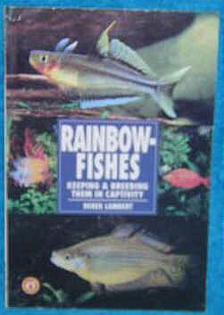 Rainbow Fishes of Australia and New Guinea. by Derek Lambert