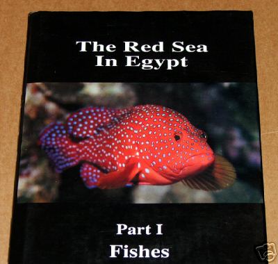 The Red Sea in Egypt - Part 1: FISHES 