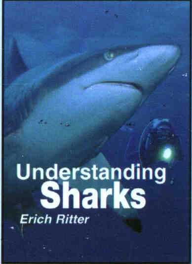 UNDERSTANDING SHARKS 