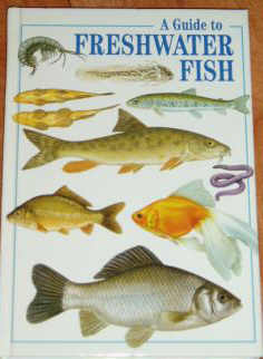 A Guide to Freshwater Fish (worldwide) 