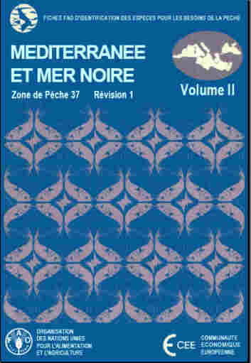 Mediterrannean and Black Sea. Volume II 