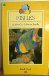 Fishes of the Caribbean Reefs , The Bahamas and bermuda  