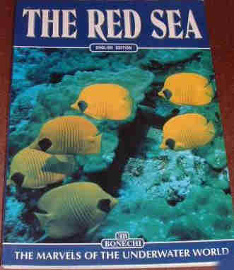 The Red Sea. The Marvels of the Underwater World by Andrea Ghisotti.