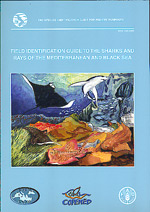 Field identification guide to the Sharks and Rays of the Mediterranean and Black Sea 