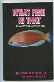 What fish is that in Australian Waters 