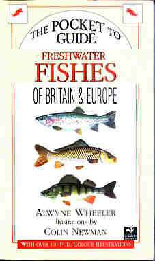 Compact Guide to Freshwater Fishes of Britain and Europe
