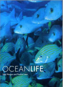 OCEANLIFE. By Sally Morgan