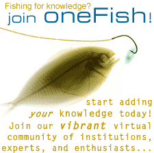We are linked to OneFish